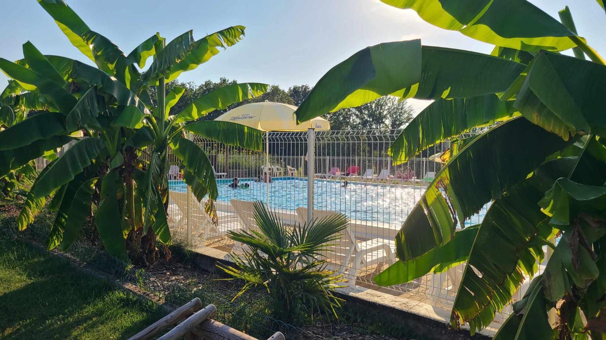 Le Domaine Du Bois Coquet Hotell La Douze Exteriör bild